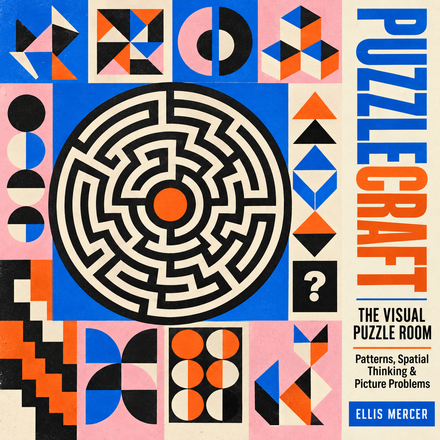 Cover of The Visual Puzzle Room.